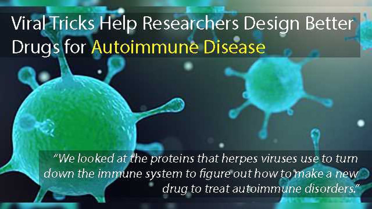 Autoimmune Drug Design Inspired by Viral Tricks