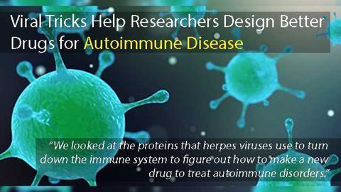 Autoimmune Drug Design Inspired by Viral Tricks