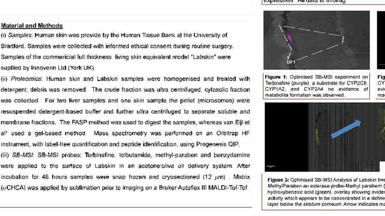 Proteomics and Substrate Based MS Imaging of Xenobiotic Metabolising Enzymes in Ex Vivo Human Skin and a Human Living Skin Equivalent Model