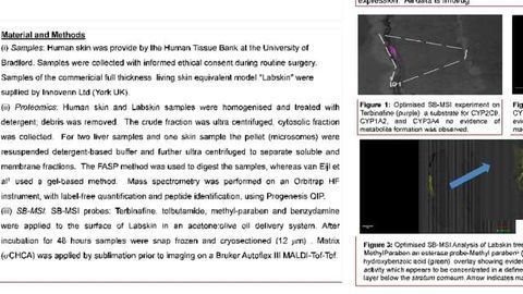 Proteomics and Substrate Based MS Imaging of Xenobiotic Metabolising Enzymes in Ex Vivo Human Skin and a Human Living Skin Equivalent Model