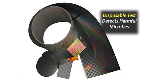 Disposable Optical Test Substrate for Detecting Harmful Microbes