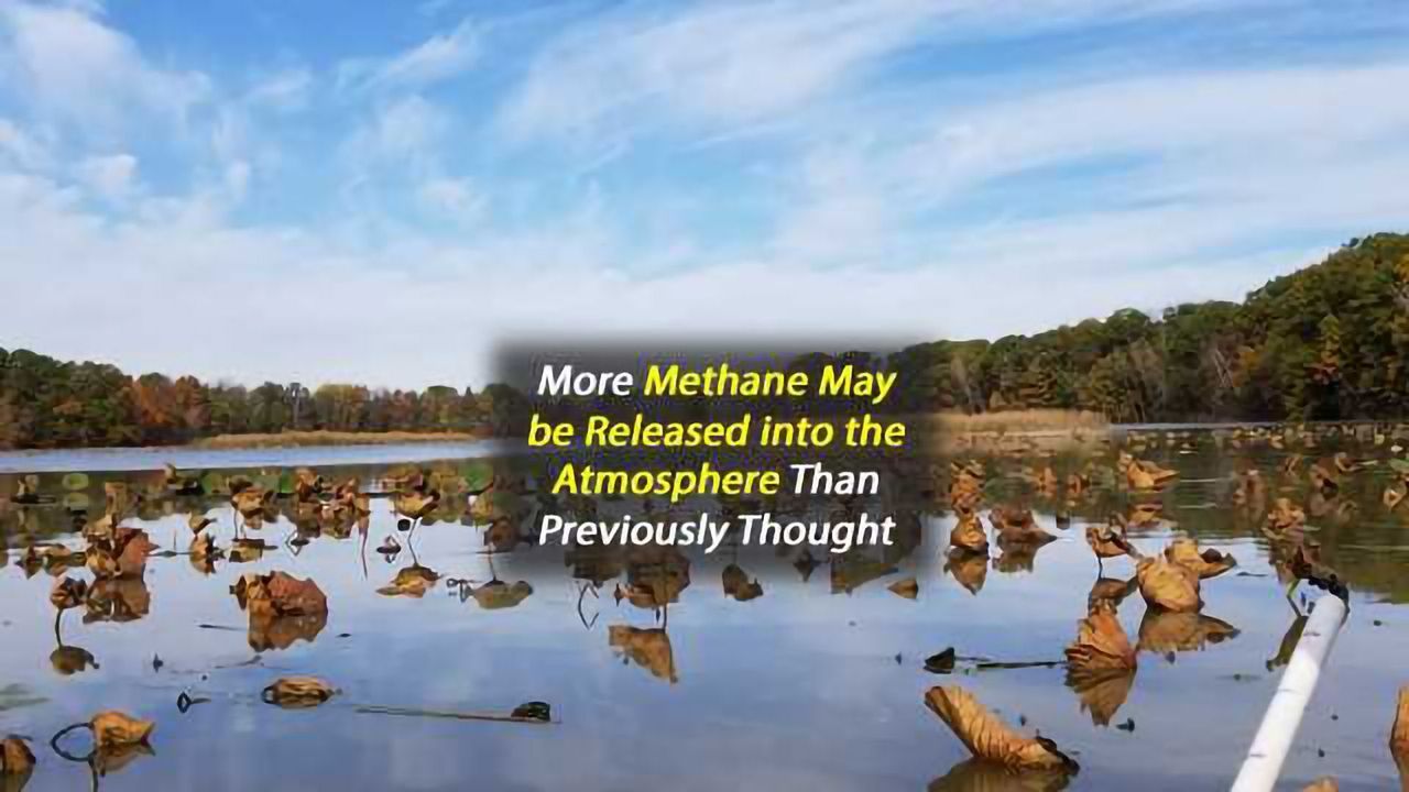 Source of a Potent Greenhouse Gas Identified