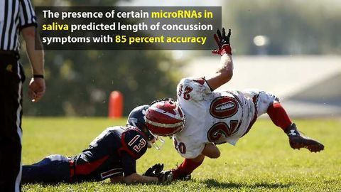 Molecules in Spit Could Help Diagnose Concussions