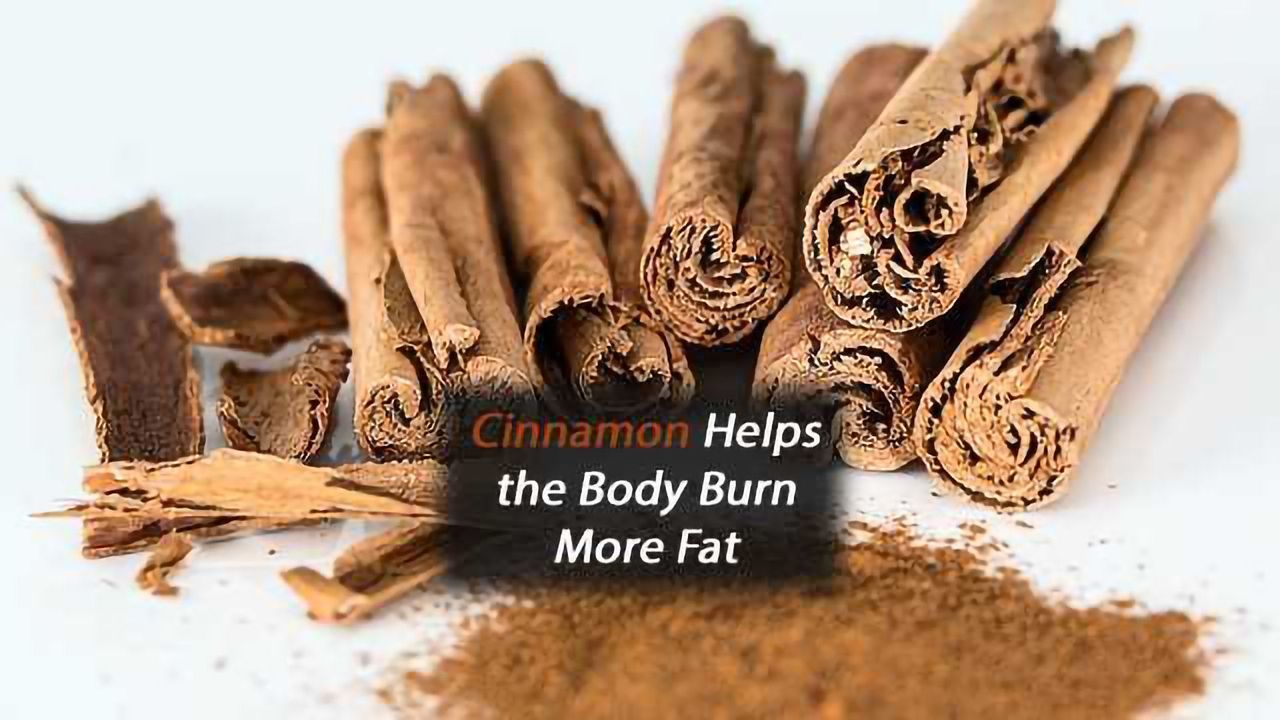 Cinnamon Turns Up the Heat on Fat Cells