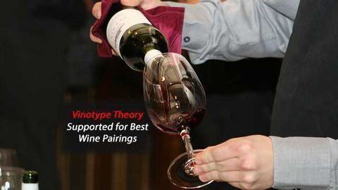Take Charge, Wine Lovers, and Trust Your Palate