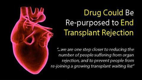 Diabetes Drug Could Be Re-purposed to Help End Transplant Rejection