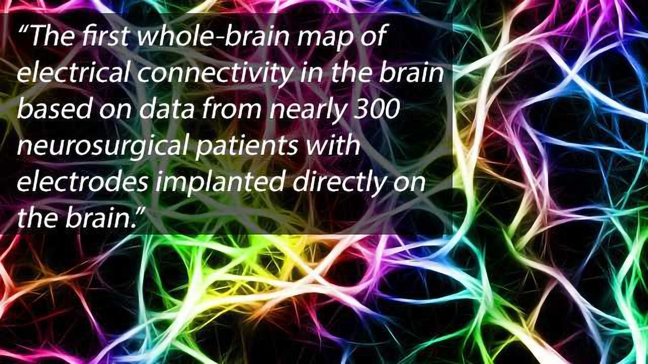 Whole-Brain Map of Memory Circuits Constructed from Human Data
