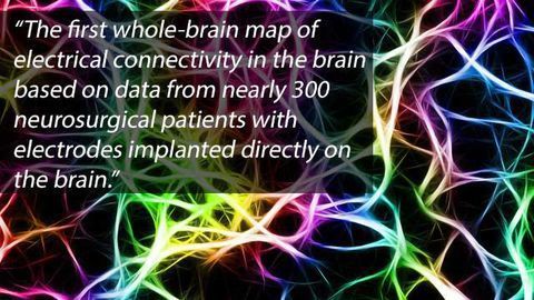 Whole-Brain Map of Memory Circuits Constructed from Human Data
