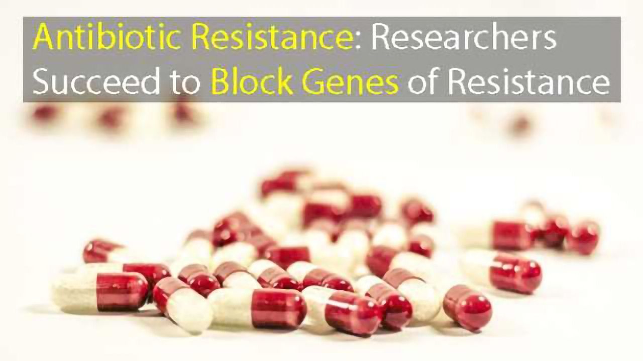 Antibiotic Resistance Genes Successfully Blocked