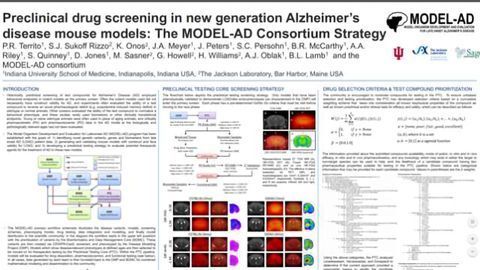 Preclinical drug screening in new generation Alzheimer’s disease mouse models: The MODEL-AD Consortium Strategy