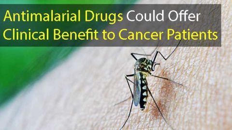 Antimalarial Drugs Could Offer Clinical Benefit to Cancer Patients