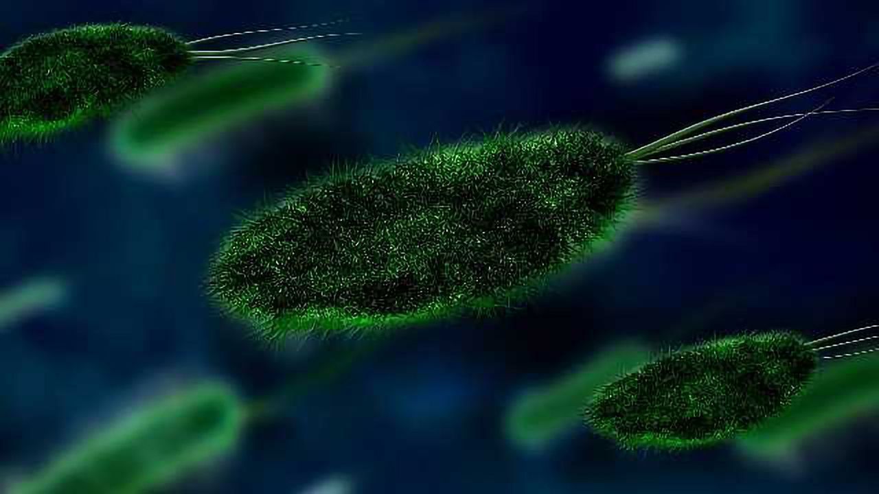 Uncovering the Role of <i>H. pylori</i> in Stomach Cancer