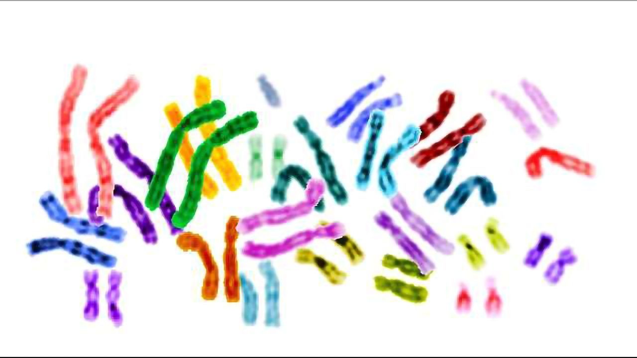 Revealing the Role of the Centromere in Down Syndrome