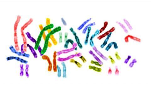 Revealing the Role of the Centromere in Down Syndrome