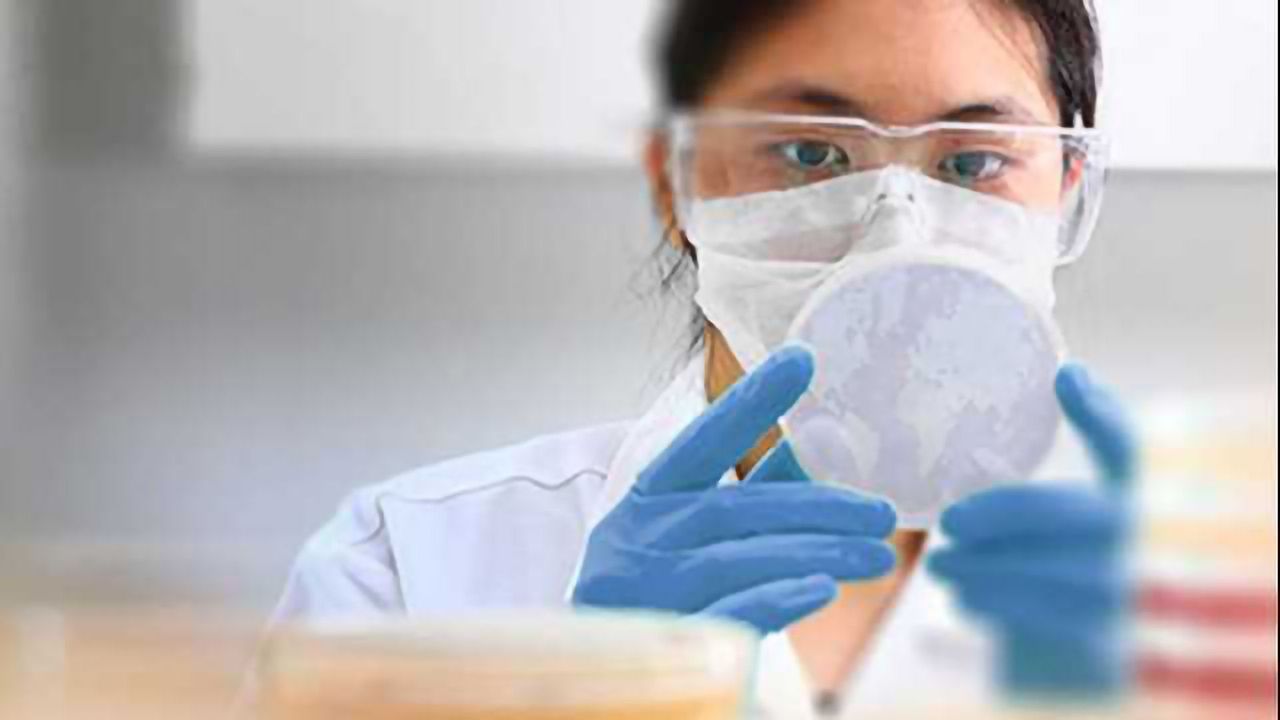 Expanded Genome Editing Tool Kit Supports Every Step in Researchers' Workflow