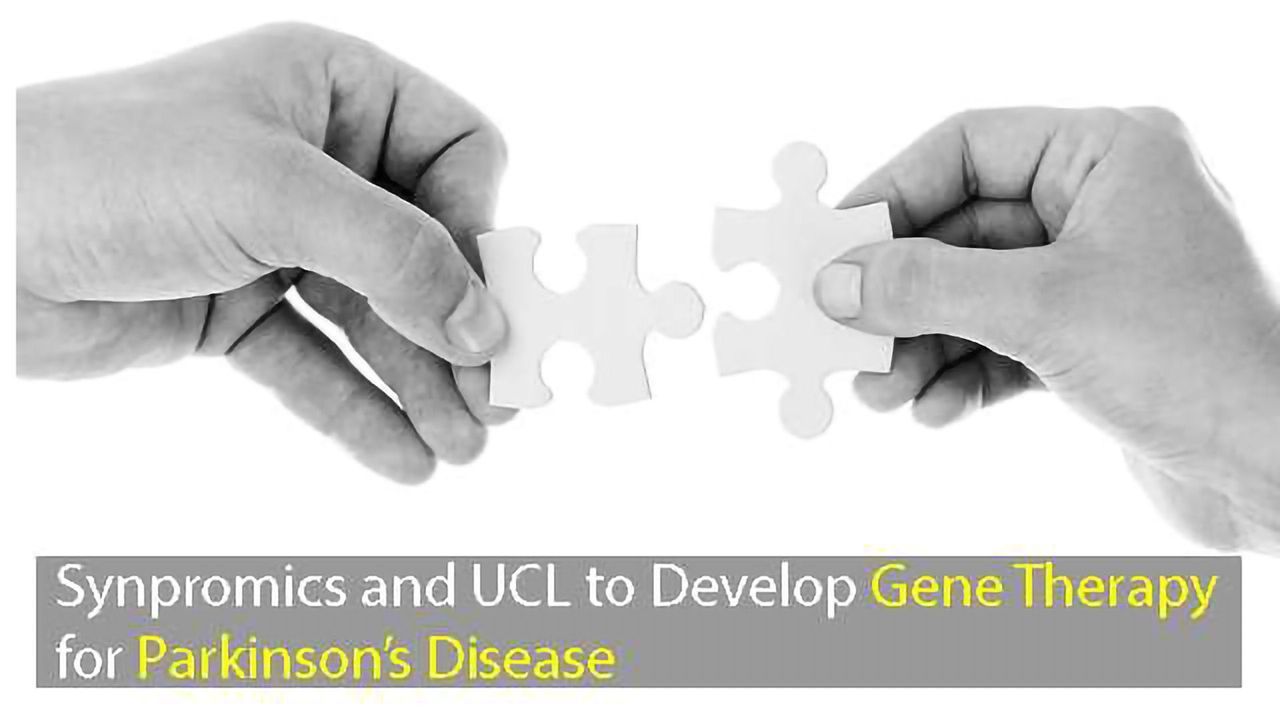 Synpromics Collaborate with UCL to Develop Revolutionary Gene Therapy for Parkinson’s Disease