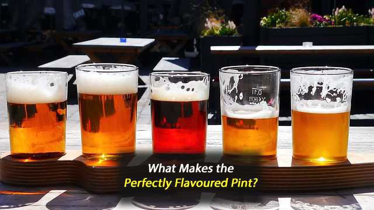 Barley is Flavour of the Month as New Study Settles Centuries-Old Brewing Debate