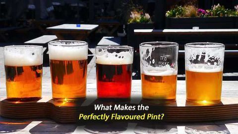 Barley is Flavour of the Month as New Study Settles Centuries-Old Brewing Debate