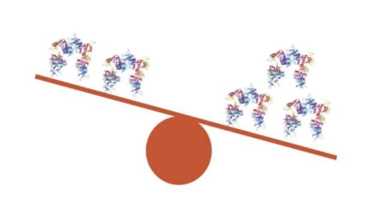 Trisomy 21: Research Breaks New Ground