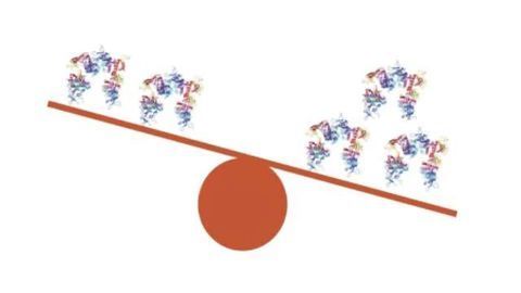Trisomy 21: Research Breaks New Ground