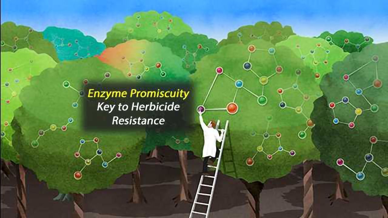 Large-Scale Approach Reveals Imperfect Actor in Plant Biotechnology