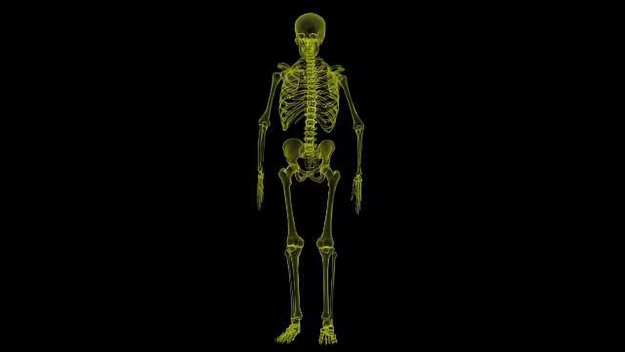 Genes Influencing Later Puberty Lead to Lower Bone Density
