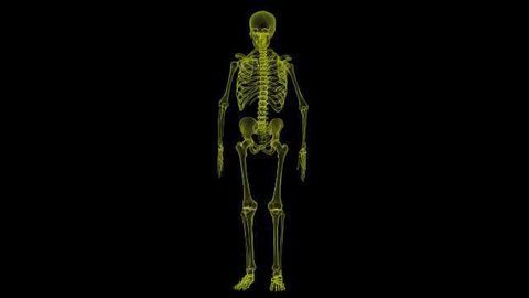Genes Influencing Later Puberty Lead to Lower Bone Density