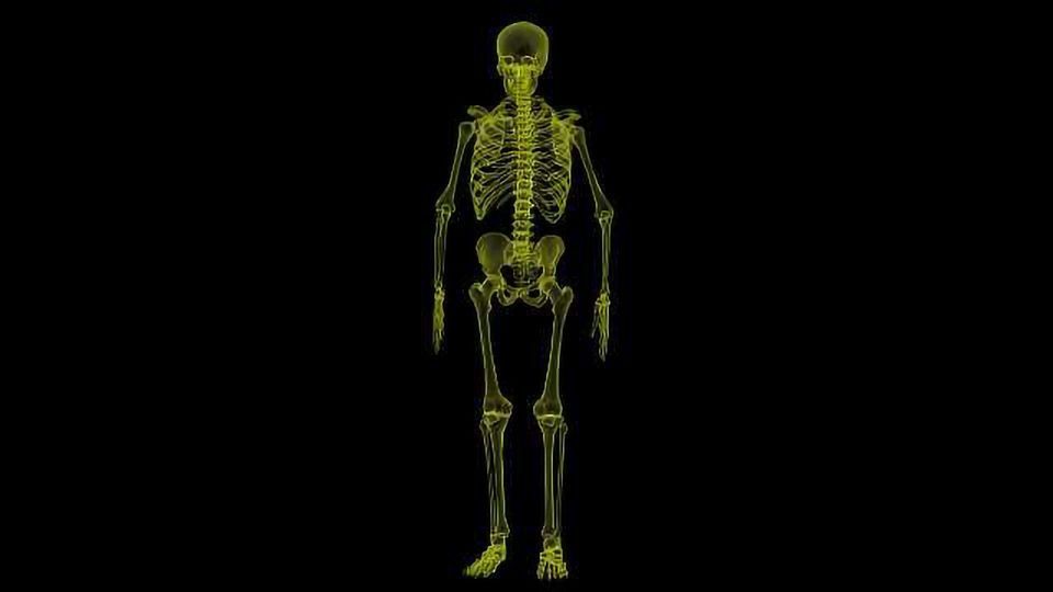 Genes Influencing Later Puberty Lead to Lower Bone Density Technology
