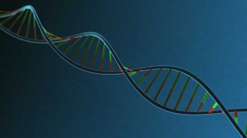 Synpromics Announces Collaboration with UCL to Develop Revolutionary Gene Therapy for Parkinson’s Disease