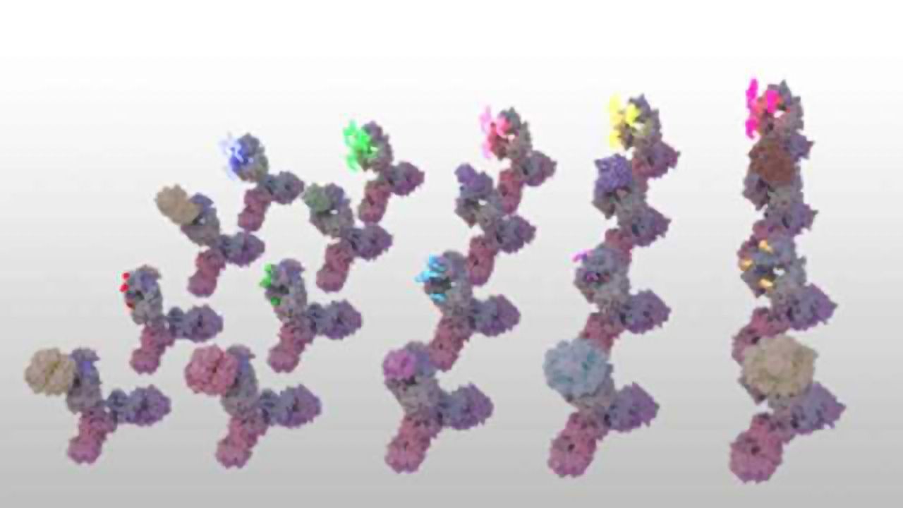 SYGNIS AG Signs Supply Agreement with US Biological for the Lightning-Link Antibody Labelling Technology