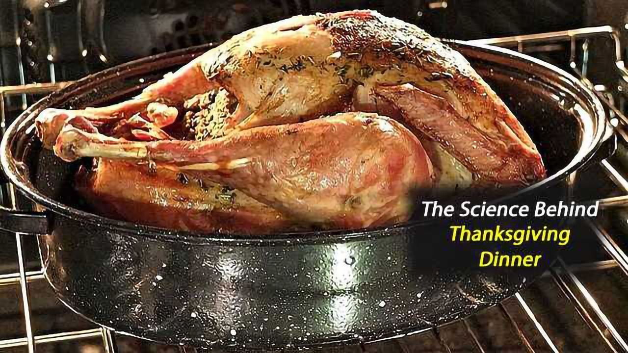 White Meat or Dark Meat? Serving Up Big Data to Decipher Thanksgiving Dinner