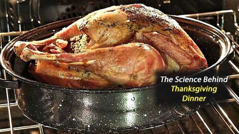 White Meat or Dark Meat? Serving Up Big Data to Decipher Thanksgiving Dinner