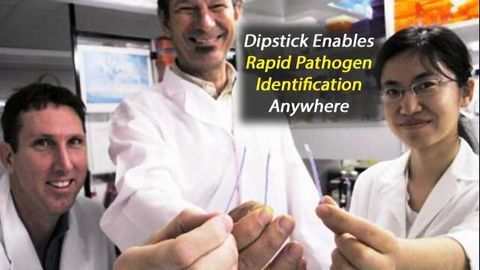Dipstick Technology Could Revolutionise Pathogen Detection