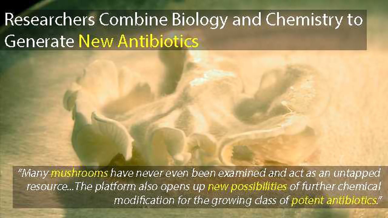 Researchers Develop a Platform to Produce Brand-new Antibiotics