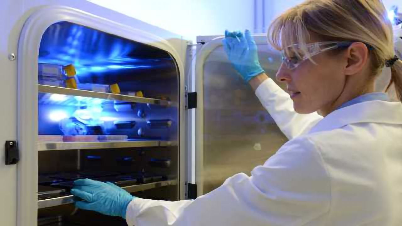 Unlocking The Full Potential of Organoids