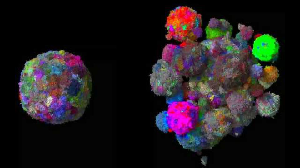 Breakthrough 3D Engineered Cancer Models Could Reduce Animal Testing