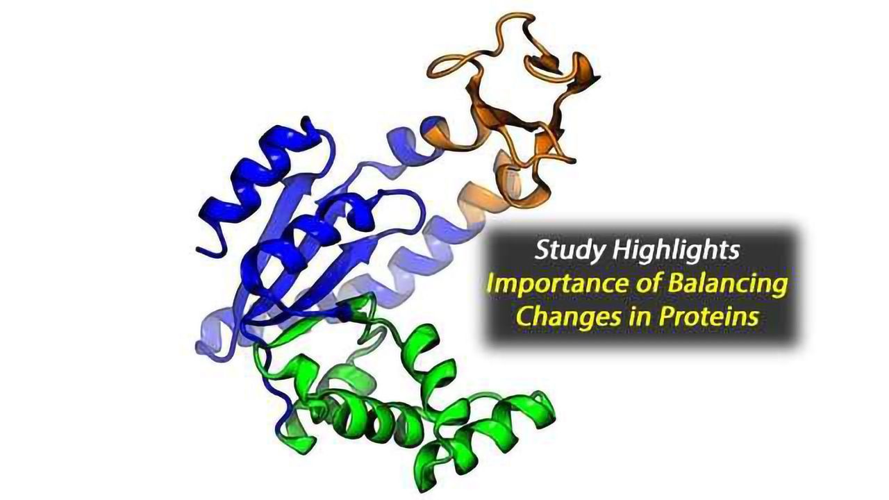 Paired Mutations: A New Approach to Discovering the Shape of Proteins