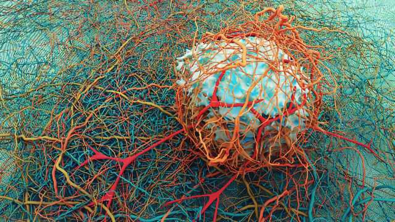 The MAPK Pathway as a Therapeutic Target in Cancer Research
