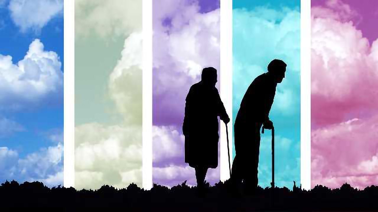An Anti-Aging Protein Could Be Targeted to Rejuvenate Immune Cells