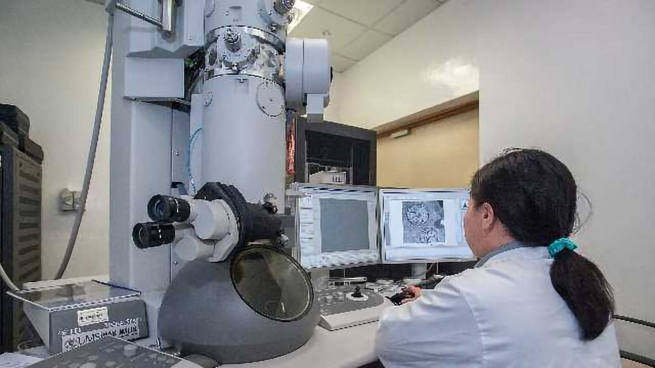 Bioimaging Using Microscopes: Challenges, Benefits and the Future