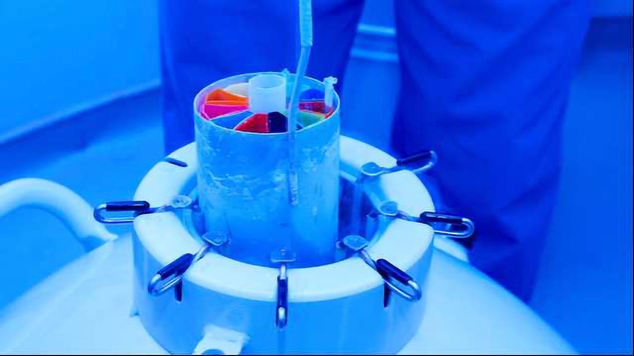 Cryopreservation of Hematopoietic Stem Cells