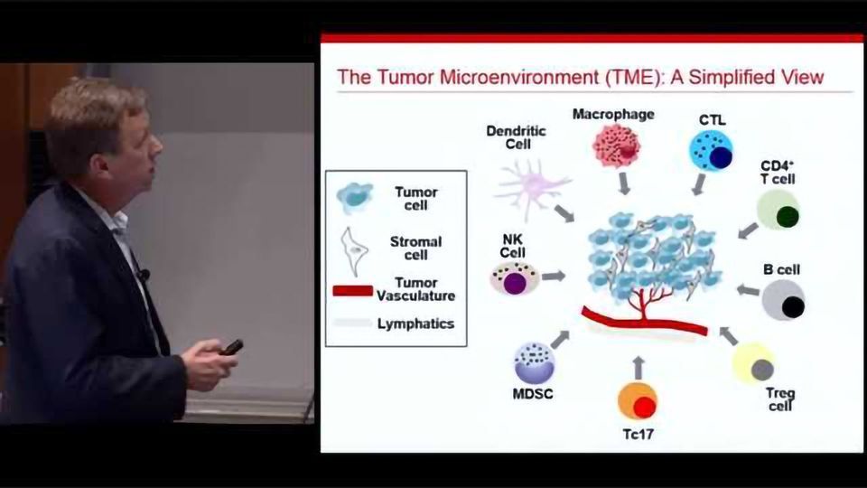 Insights from Listeria monocytogenes for the Development of Cancer Immunotherapy content piece image