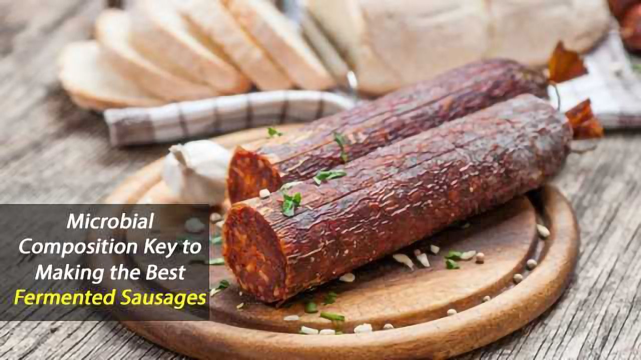 The Microbiological Art of Making a Better Sausage