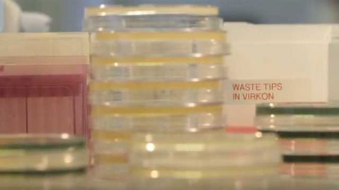 Industrial Microbiology : Techniques