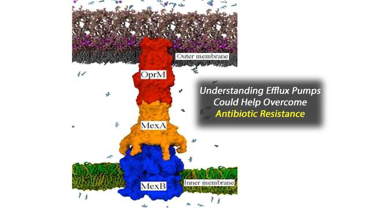 Computer Simulations Reveal Roots of Drug Resistance