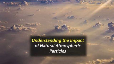 Understanding the Climate Impact of Natural Atmospheric Particles
