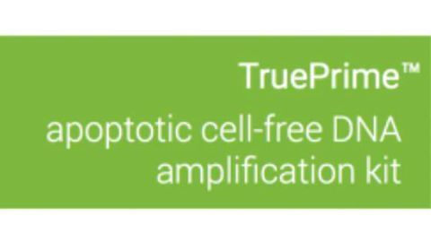 SYGNIS AG Launches TruePrime™ Apoptotic Cell Free DNA Amplification Kit for the Liquid Biopsy Market