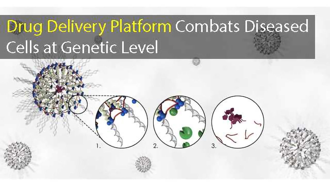 New Drug Delivery System Targets Diseases at a Genetic Level