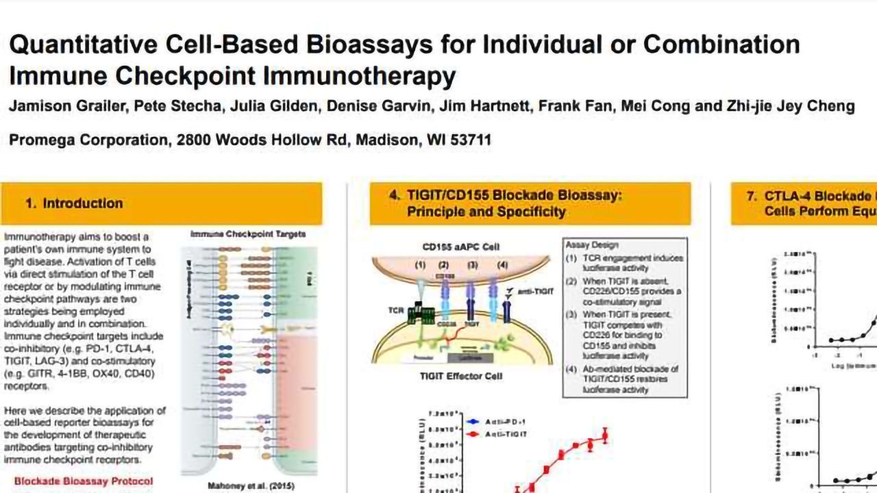 Quantitative Cell-based Bioassays for Individual or Combination Immune Checkpoint Immunotherapy