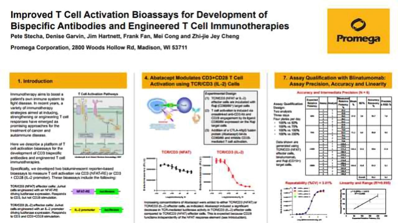 Improved T Cell Activation Bioassays for Development of Bispecific Antibodies and Engineered T Cell Immunotherapies
